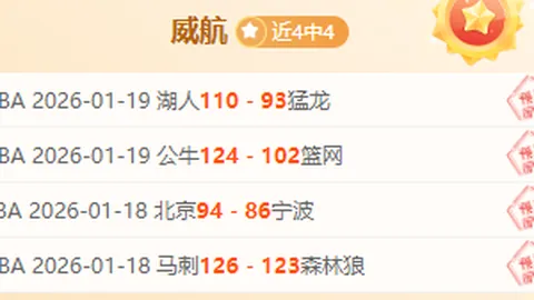 约基奇传球助攻，小波特三分球命中