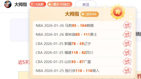大乐透期号专家质合推荐：前区十码NBA鹈鹕对猛龙让分分析